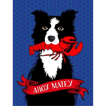Carolines Treasures Ahoy Matey Nautical Border Collie Flag Canvas House Size VHA3011CHF
